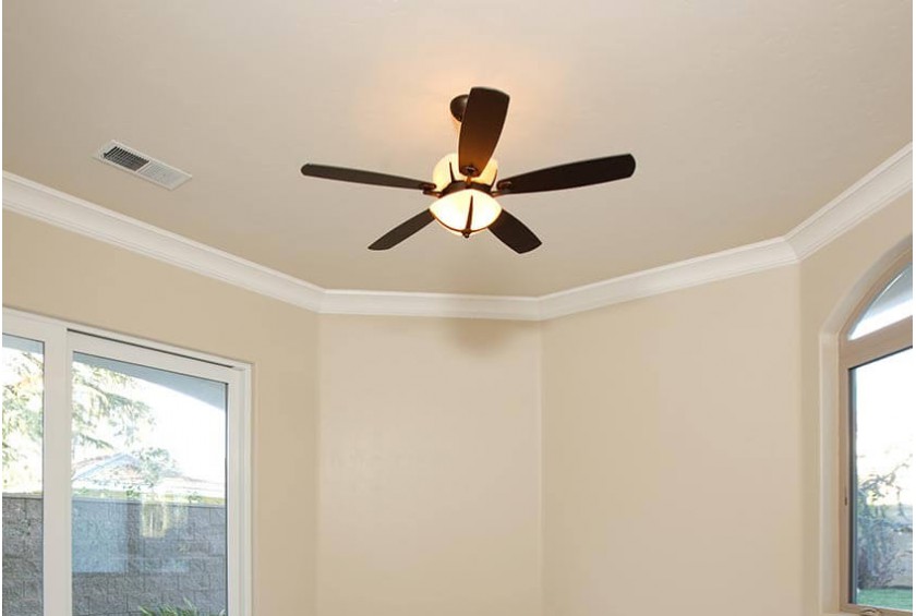 Lights & Ceiling Fans